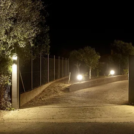 Ancient Olympia By Pcl Villa Pelopio