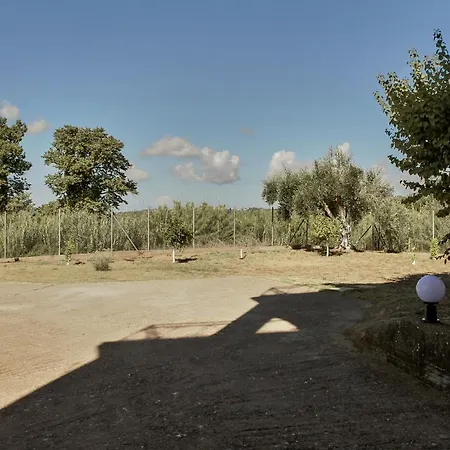 Ancient Olympia By Pcl Villa Pelopio