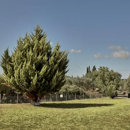 Villa Ancient Olympia By Pcl *