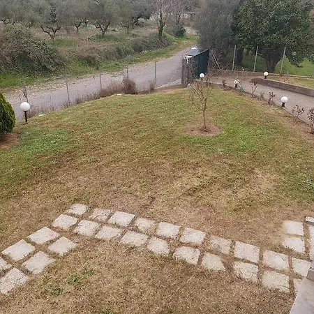 Ancient Olympia By Pcl * Pelopio