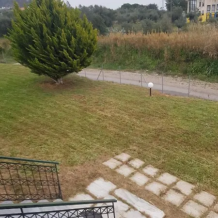 Ancient Olympia By Pcl