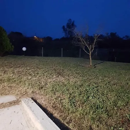 Ancient Olympia By Pcl * Pelopio