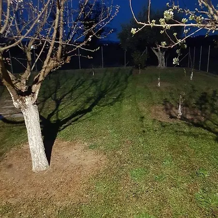 Ancient Olympia By Pcl Villa Pelopio