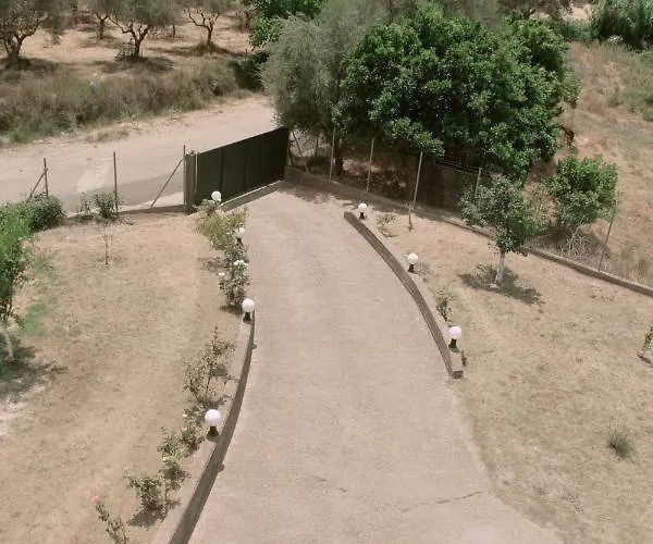 Ancient Olympia By Pcl *