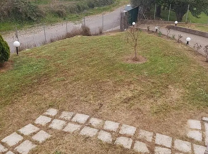 Ancient Olympia By Pcl * Pelopio