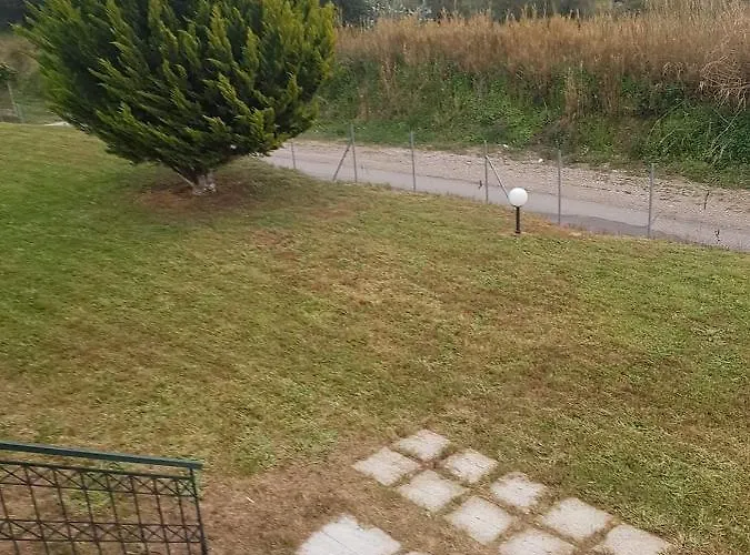 Ancient Olympia By Pcl