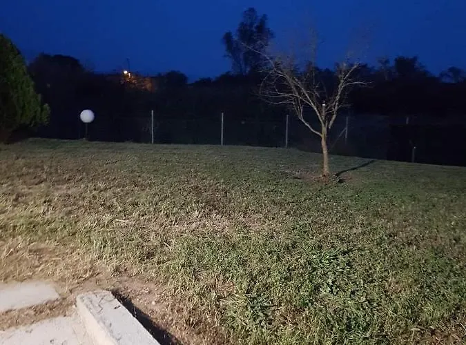 Ancient Olympia By Pcl * Pelopio