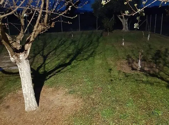 Ancient Olympia By Pcl Villa Pelopio